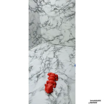 Котик подвижной