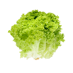 Салат Лоло Бионда