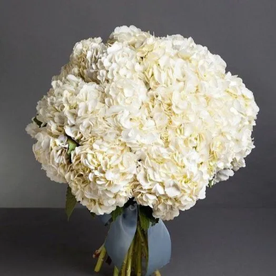 11 голубых гортензий в крафте