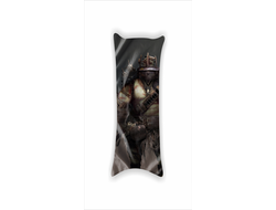 Дакимакура Fallout, Фоллаут №13