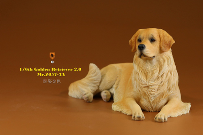 Золотистый ретривер (лежащий) - Коллекционная ФИГУРКА 1/6 scale Animal Model Golden Retriever 2.0 (MRZ057-3A) - Mr.Z