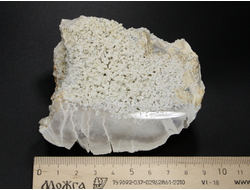 Халцедон виноградный, срез полированный, Россия, Северный Кавказ, КЧР, Усть-Джегутинский район (90*72*42 мм, 274 г) №27452