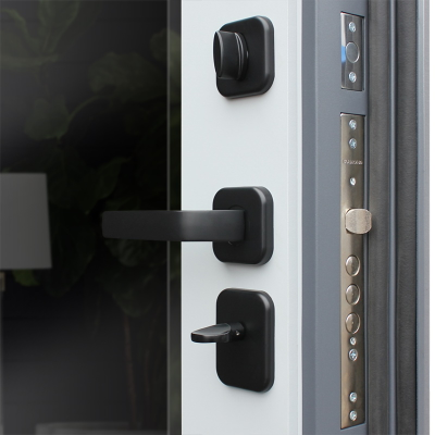 Стальная дверь   Манчестер с зеркалом