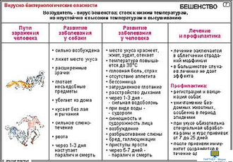 Опасные животные  (15 шт), комплект кодотранспарантов (фолий, прозрачных пленок)