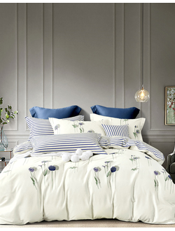 Постельное белье TANGO Twill сатин евро 200x220x1 230x250x1 50x70x2 70x70x2 TPIG6-1037