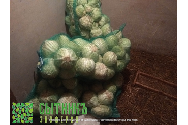 Кролики на натуральных кормах