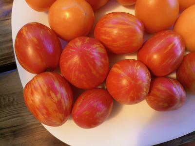 Томат Шаймет Криг (Schimmeig Creg), США