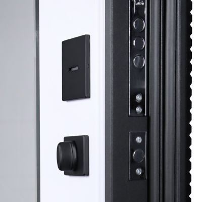 Стальная дверь   Сапсан с зеркалом (умная электронная дверная ручка с отпечатком пальца Smart lock T888 Черная)