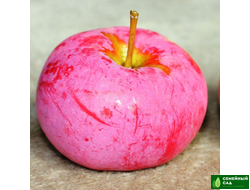 Яблоня "ВЭМ-розовый"