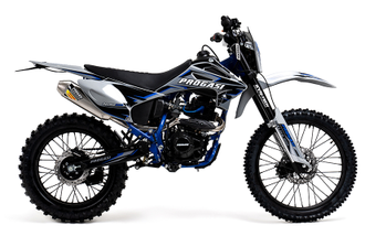 Мотоцикл PROGASI Palma 300