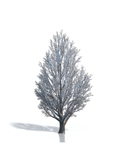 Billboards Дерево зимнее_21