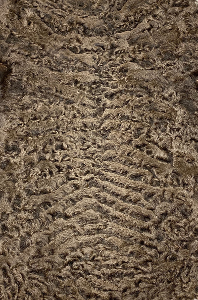 Каракуль Сур