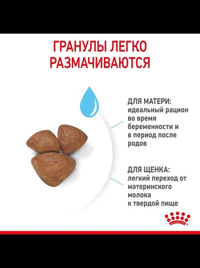 Royal Canin (Роял Канин) Mini Starter Сухой корм для щенков мелких пород до 2 мес, 1 кг
