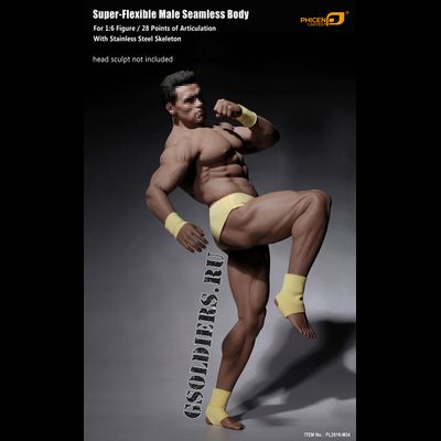 Супер-подвижное бесшовное мужское тело (телоид) PL2016-M34 1/6 Super flexible Male Seamless Body - PHICEN