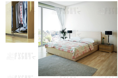 Шкаф-купе Милана 045