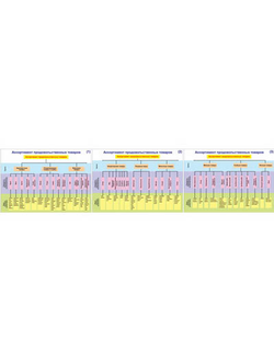 Плакаты ПРОФТЕХ "Ассортимент продовольственных товаров" (3 пл, винил, 70х100)