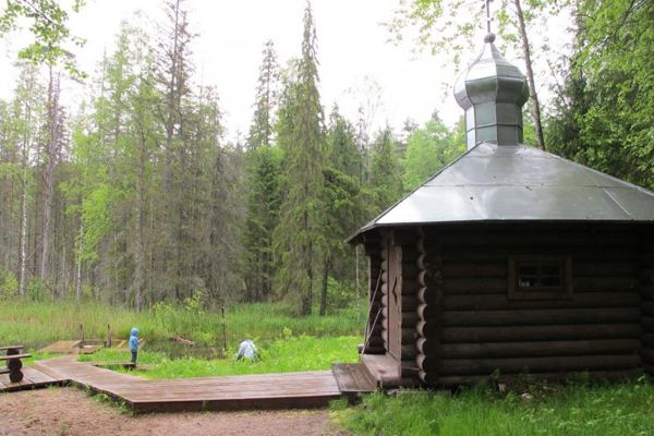 Родник, святой источник великомученицы Параскевы Пятницы у деревни Бор