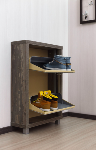 Обувница Айрон-2 (фасад стекло Белое)