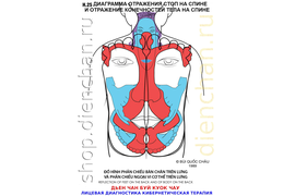 ОПОРНО-ДВИГАТЕЛЬНЫЙ АППАРАТ