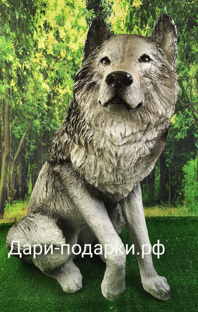 Волк  68*57см  6,5кг   полистоун Россия  5226/012026**