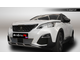 Premium защита радиатора для Peugeot 3008 (2017-2021)