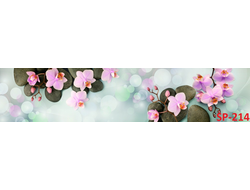 SP-214 Глянцевая стеновая панель ALBICO  2800*610*6мм.