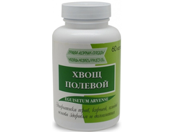 Хвощ полевой