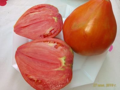 Томат Остроконечное сердце Марека (Marek's Pointy Heart) США