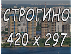 Программа №1, Модуль размером: 420х297