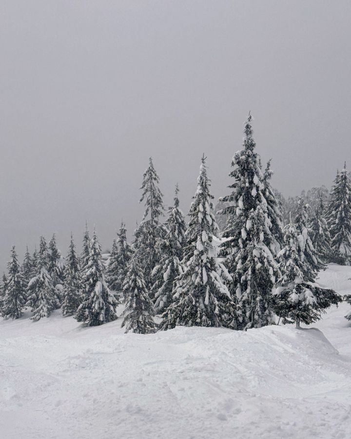 Неподготовленная трасса &laquo;Каменная гряда&raquo;