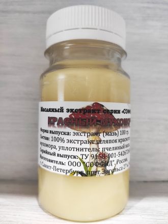 �������� �������� �������� �� �������� �����