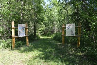 Экологическая тропа «Бобровая»