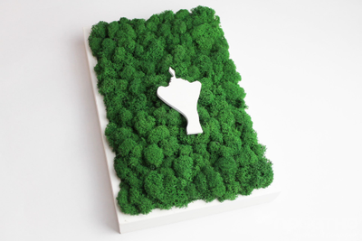 ЖИВАЯ ЭКО-КАРТИНА 1029