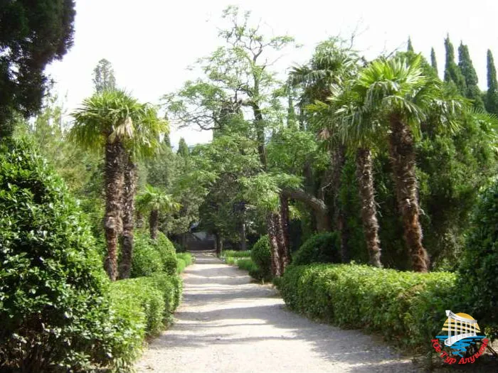 парк в Симеизе