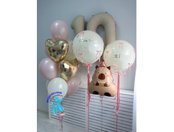 Сет № 37 "Капибара"