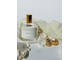 Zarkoperfume The Muse