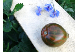 Сердце Марши