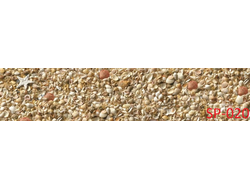 SP-020 МЕЛКИЕ РАКУШКИ Глянцевая стеновая панель ALBICO 2800*610*6мм *