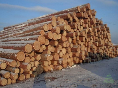 Пиловочник отборный цена