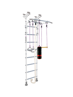 Шведская стенка Midzumi Hoshi Boxing снежный барс