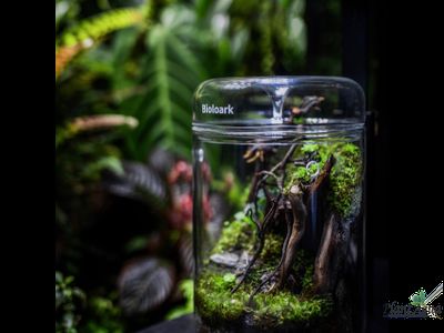 Чаша Лудзи Biolark MY-180 (180мм х 200мм)