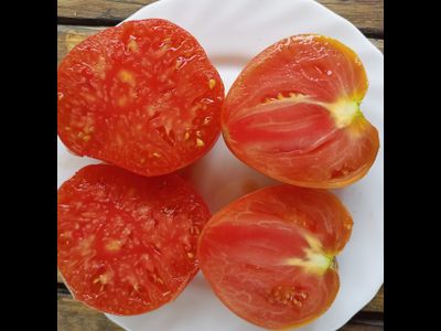 Томат Купола Вологодской Софии