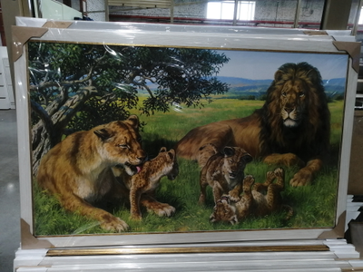 картина в раме 60 х 100 см  Львиный прайд