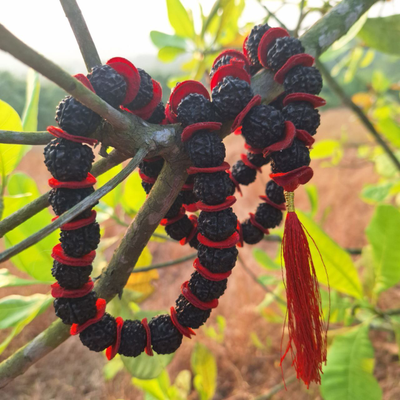 Четки Premium quality из натуральной крупной Рудракши 108 бусин черные