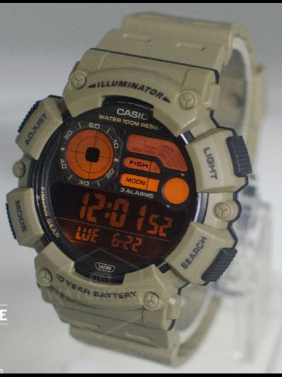 Часы Casio WS-1500H-5B