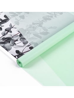 Пленка "Лак Pastel" 59см 180гр Зеленый чай (пр-во Россия) ПЭ01/1
