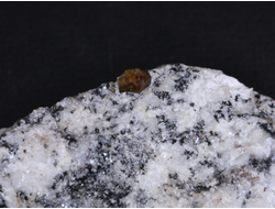 Циркон (кристаллы в породе), Россия, Южный Урал, Вишневые горы (66*38*16 мм, 33 г) №17772