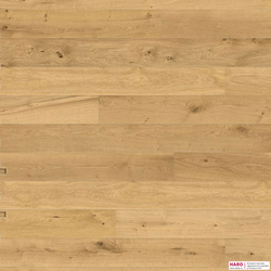 Декор паркетной доски Haro Дуб Универсал 537551 Браш фронт