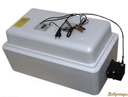 Инкубатор с цифровым терморегулятором 36 яиц автопереворот 12В (45)