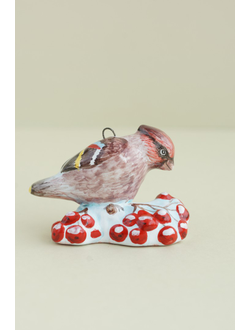 Свиристель - Птицы России